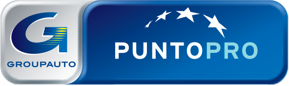 Logo_PuntoPRO